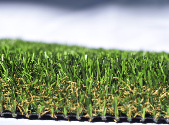 Yavapai Plus (1).JPG