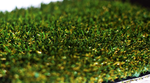 US Gold (Forest) 98 (1).JPG