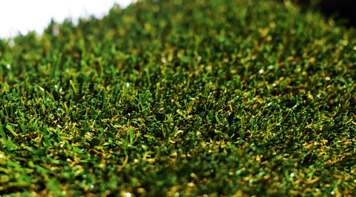 US Gold (Forest) 98 (2).JPG
