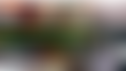 Department of Small Business Development: Apply for the Co-Operatives Development Support Programme