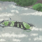 水溜まりのツミ