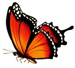 1.png