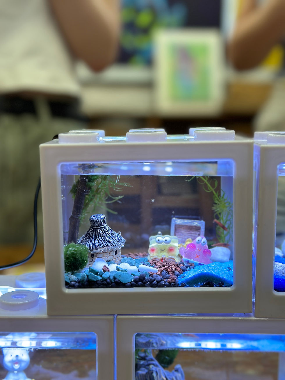 縮圖：迷你生態魚缸工作坊