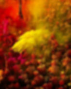 Crowd celebrating Holi with vibrant yellow and red powders. People in turbans, joyous atmosphere, surrounded by colorful dust in the air.
