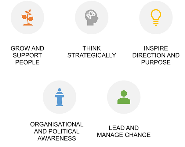 common leadership capacbilities.png