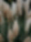 annie-spratt-o2puGdgfVh0-unsplash.jpeg