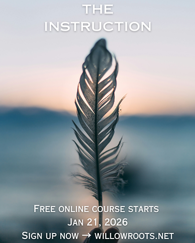 The Instruction - carousel (1).png