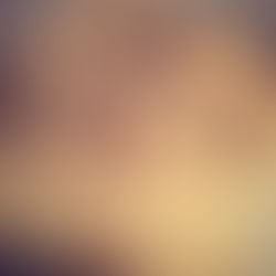 Macarrão de Pupunha com Shitake