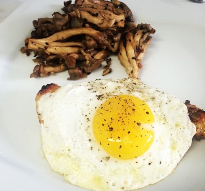 Shimeji finalizado com Miss Croc de Lemon Pepper