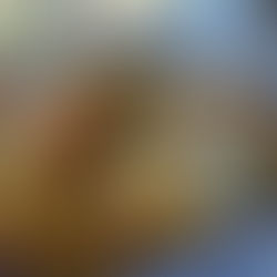 Abobrinha no Purgatório