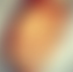 Filet de Frango com Crosta de Aveia