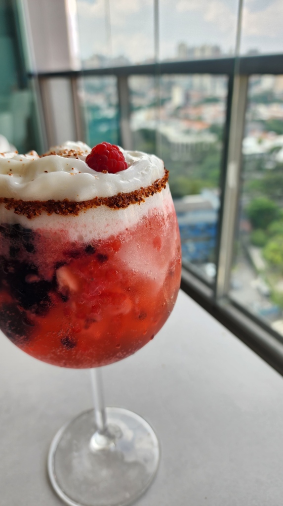 Gin Tônica; Frutas Vermelhas