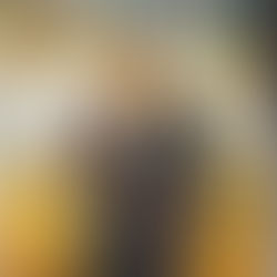 O Assassinato de Jesse James, Pelo Covarde Robert Ford