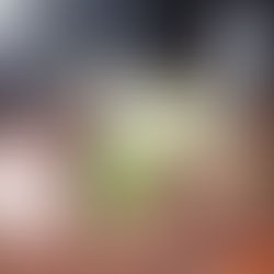 Coxa e sobrecoxa suculenta