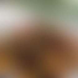 Pulpo a La Gallega (Polvo à Galega)