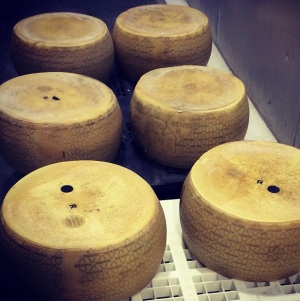 Allfood Importadora; Visita à Fábrica