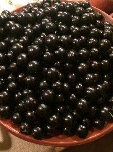 Mbee e a Fazenda Itaíca