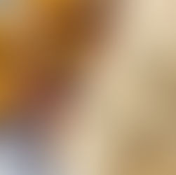 Ancho Com Molho de Queijo