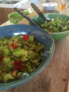 Mbee e a Fazenda Itaíca