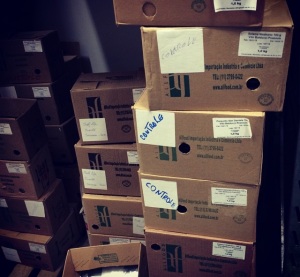 Allfood Importadora; Visita à Fábrica