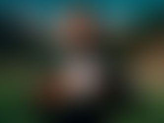 Formas de o desempenho dos goleiros afeta as odds