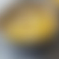 Cocotte de Shimeji Na Airfryer