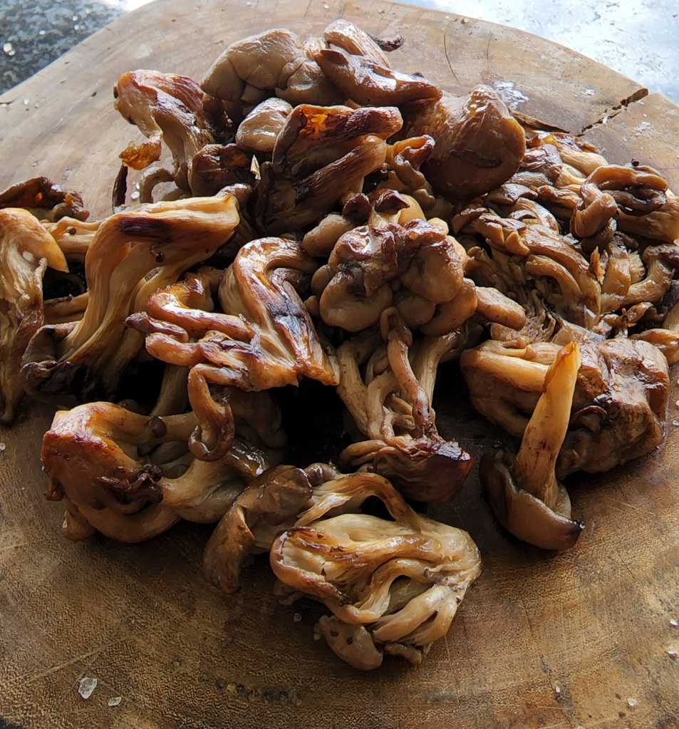 Shimeji na Churrasqueira