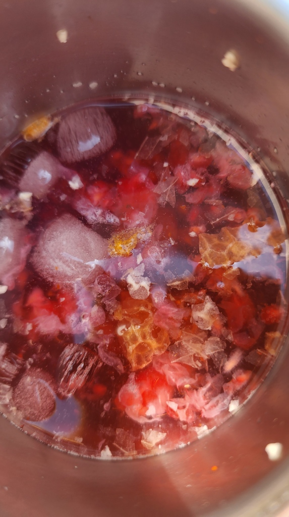 Gin Tônica; Frutas Vermelhas