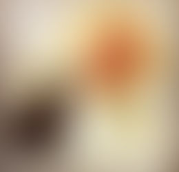 Filet ao Vinho Tinto!