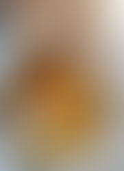 Pão Folha com Ovo e Queijo