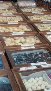 Heleninha em Tiradentes MG