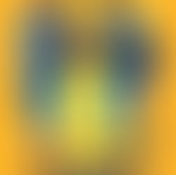 De Férias da Família