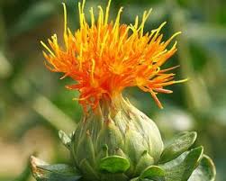 Absoluto Oléos Nobres