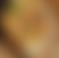 Repolho com Crosta de Parmesão