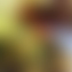 Acelga (Chingensai) Refogada