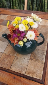 Heleninha em Tiradentes MG