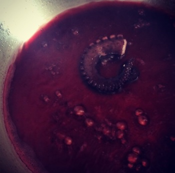 Risoto de Polvo com Polvo no Vinho