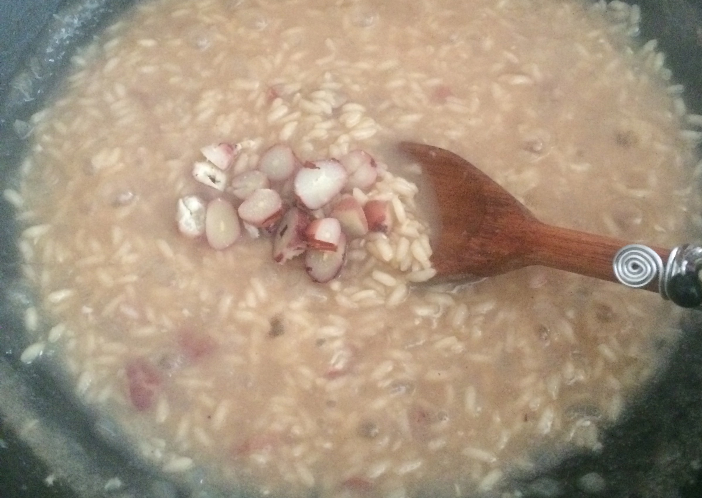 Risoto de Pinhão