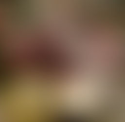 Pizza Gourmet e Caseira