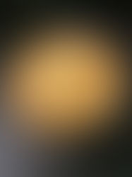 Quinoa com Cenoura Gratinada