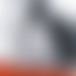 Entre Segredos e Mentiras