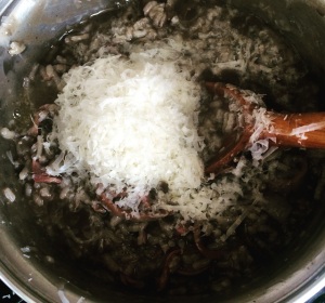 Risoto de Lula na Própria Tinta