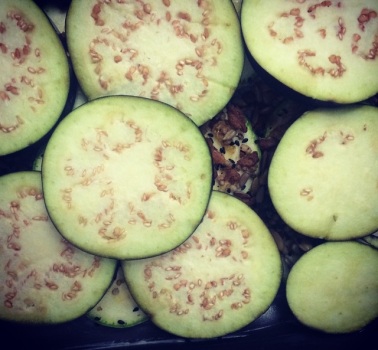 Lasanha de Miss Croc