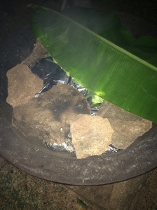 Mbee e a Fazenda Itaíca