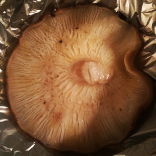 Pacotinhos de Shitake