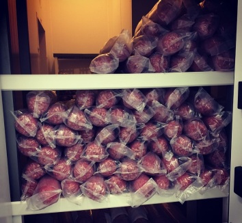 Allfood Importadora; Visita à Fábrica