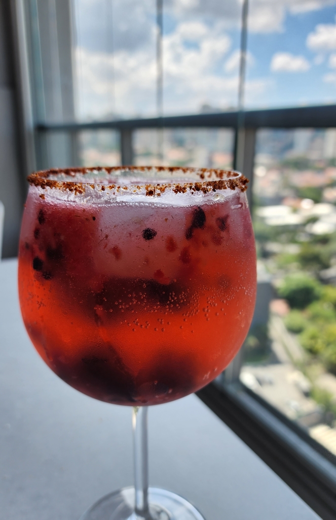 Gin Tônica; Frutas Vermelhas