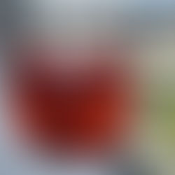 Gin Tônica; Frutas Vermelhas