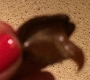 bombom de choco e coco