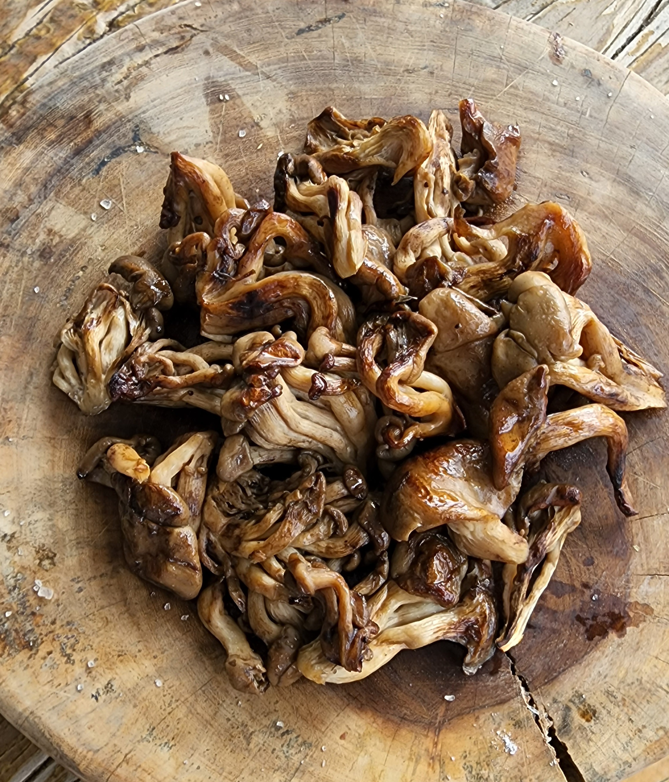 Shimeji na Churrasqueira